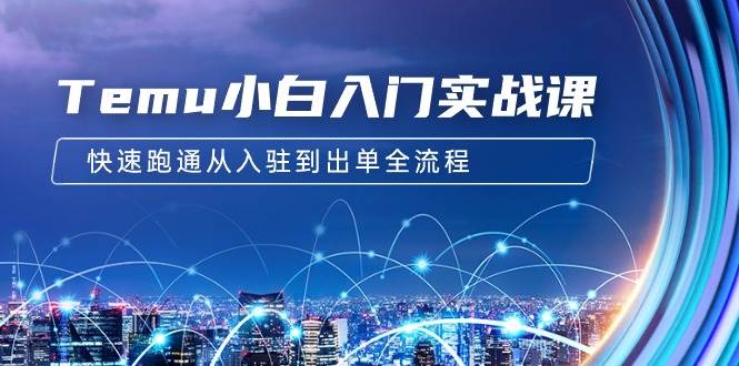 Temu小白入门实战课：跨境拼多多电商培训 快速跑通从入驻到出单全流程-12节-万利网