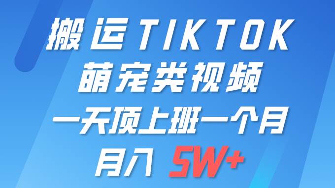 一键搬运TIKTOK萌宠类视频 一部手机即可操作 所有平台均可发布 轻松月入5W+-万利网