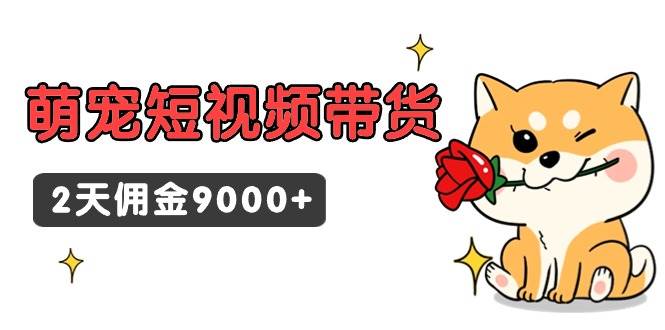 东哲日记·萌宠短视频带货，2天佣金9000+-万利网