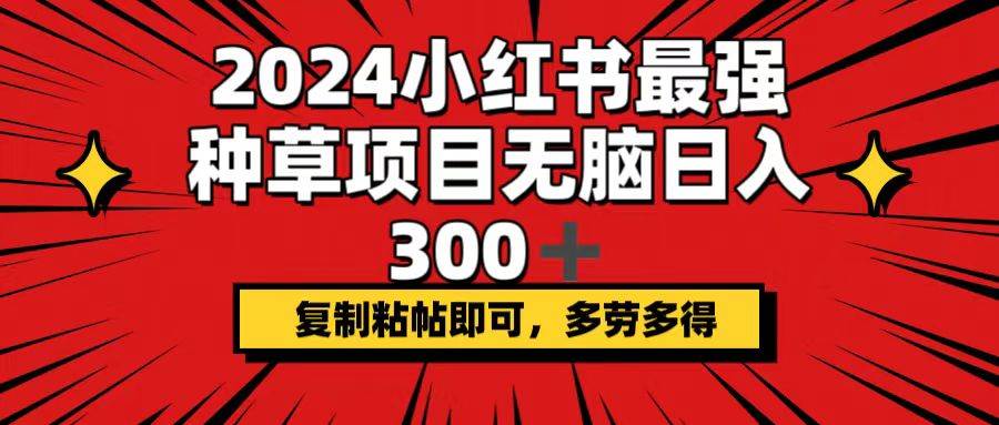 2024小红书最强种草项目，无脑日入300+，复制粘帖即可，多劳多得-万利网