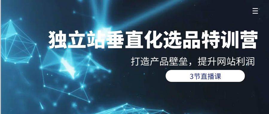 独立站-垂直化选品训练营，打造产品壁垒，提升网站利润（3节直播课）-万利网