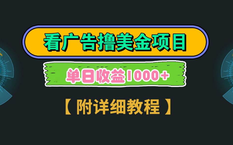 Google看广告撸美金，3分钟到账2.5美元 单次拉新5美金，多号操作，日入1千+-万利网