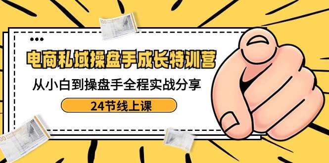 电商私域-操盘手成长特训营：从小白到操盘手全程实战分享-24节线上课-万利网