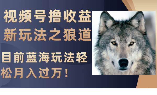 视频号撸收益新玩法之狼道，目前蓝海玩法轻松月入过万！-万利网