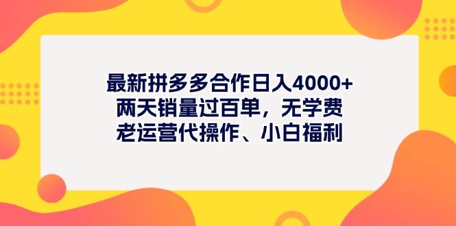 最新拼多多项目日入4000+两天销量过百单，无学费、老运营代操作、小白福利-万利网