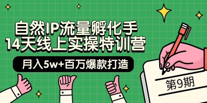 自然IP流量孵化手 14天线上实操特训营【第9期】月入5w+百万爆款打造 (74节)-万利网