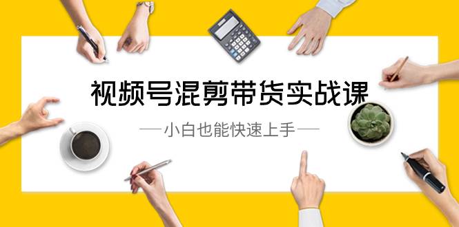 视频号-混剪带货实战课，小白也能快速上手（10节课）-万利网