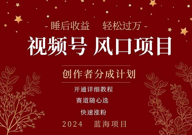 拥有睡眠收益的微信视频号大风口项目，轻松月入过万+，多赛道选择，可…-万利网