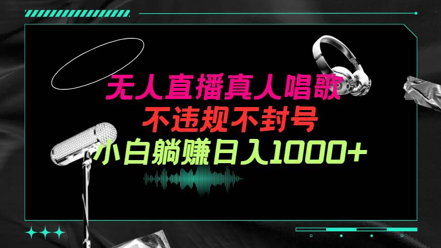 抖音24小时无人直播音乐，不违规，不封号纯撸音浪，小白实操当天日入1000+-万利网