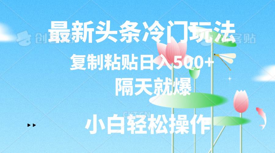 最新头条冷门玩法，隔天就爆，复制粘贴日入500+-万利网