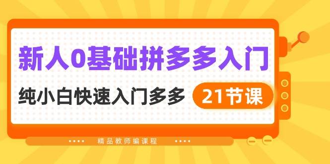 新人0基础拼多多入门，纯小白快速入门多多（21节课）-万利网