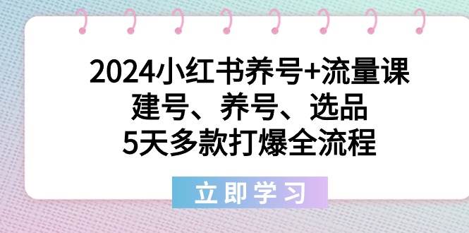 2024小红书养号+流量课：建号、养号、选品，5天多款打爆全流程-万利网