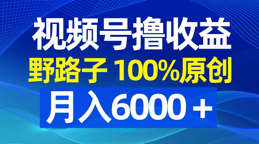 视频号野路子撸收益，100%原创，条条爆款，月入6000＋-万利网