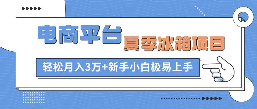 电商平台夏季冰箱项目，轻松月入3万+，新手小白极易上手-万利网