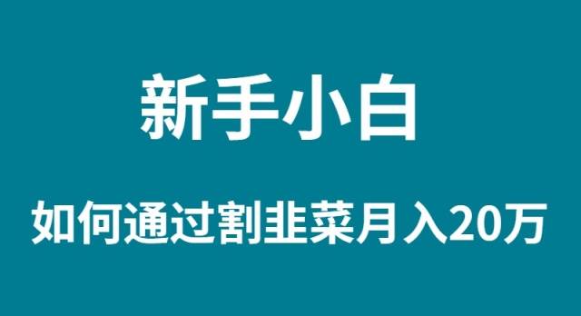 新手小白如何通过割韭菜月入 20W-万利网
