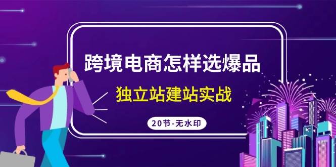 跨境电商怎样选爆品，独立站建站实战（20节高清无水印课）-万利网