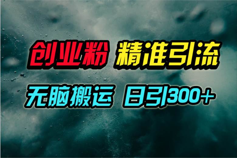 视频号纯搬运日引300+创业粉教程！-万利网