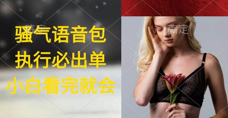 执行就出单，日入2000+，超火骚气语音包，小白看完课程就能马上实操-万利网