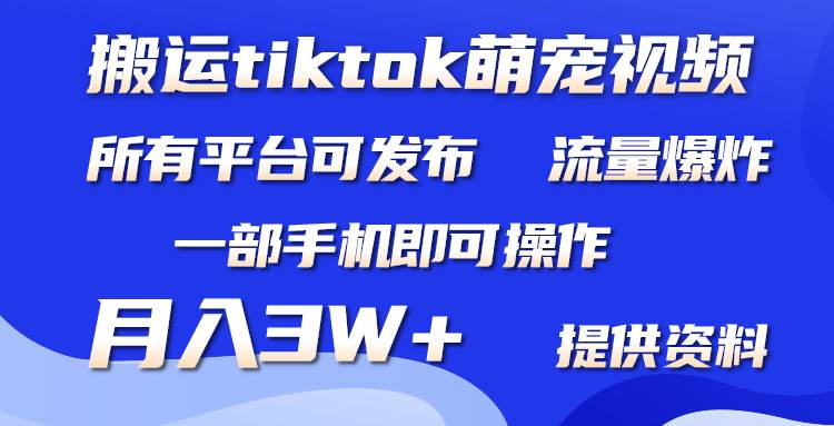 搬运Tiktok萌宠类视频，一部手机即可。所有短视频平台均可操作，月入3W+-万利网