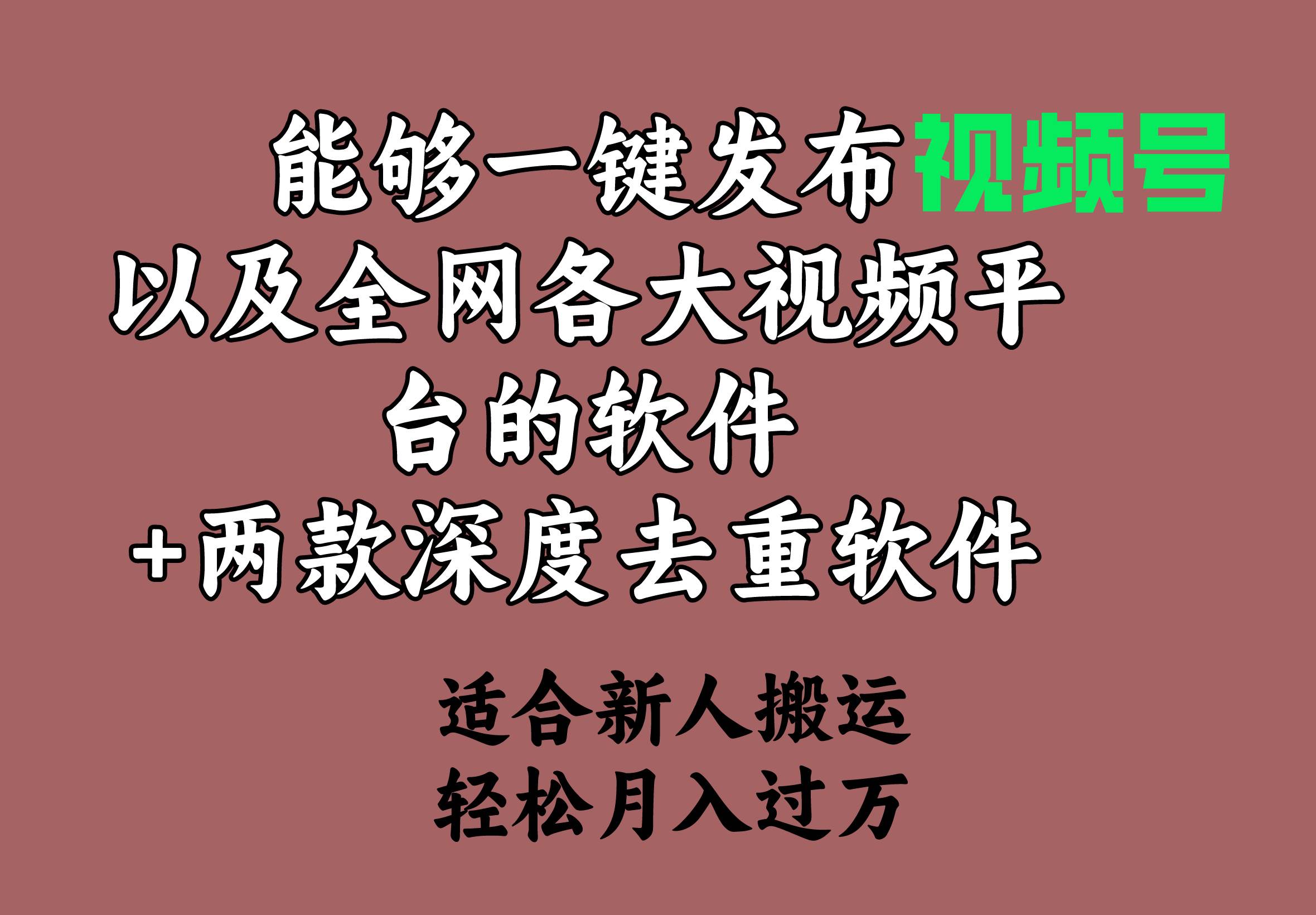 能够一键发布视频号以及全网各大视频平台的软件+两款深度去重软件 适合…-万利网