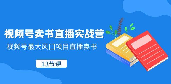 视频号-卖书直播实战营，视频号最大风囗项目直播卖书（13节课）-万利网