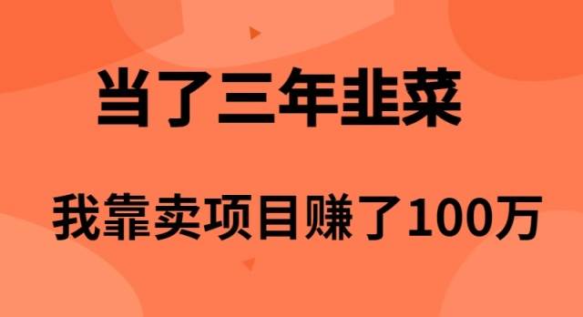 当了3年韭菜，我靠卖项目赚了100万-万利网