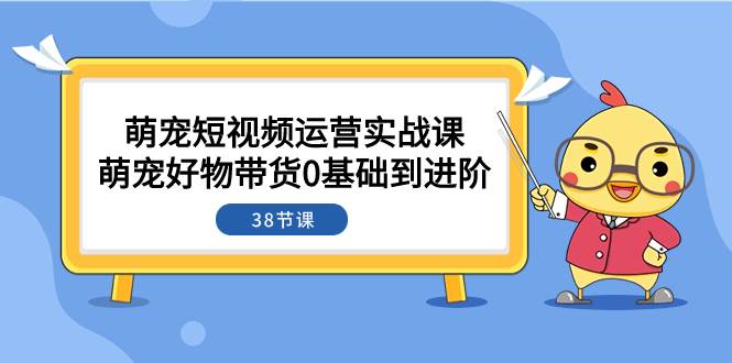 萌宠·短视频运营实战课：萌宠好物带货0基础到进阶（38节课）-万利网