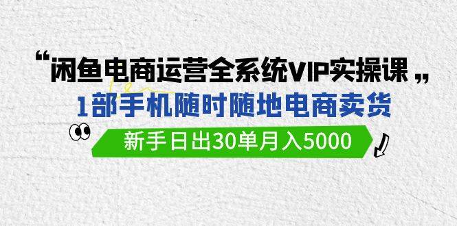 闲鱼电商运营全系统VIP实战课，1部手机随时随地卖货，新手日出30单月入5000-万利网