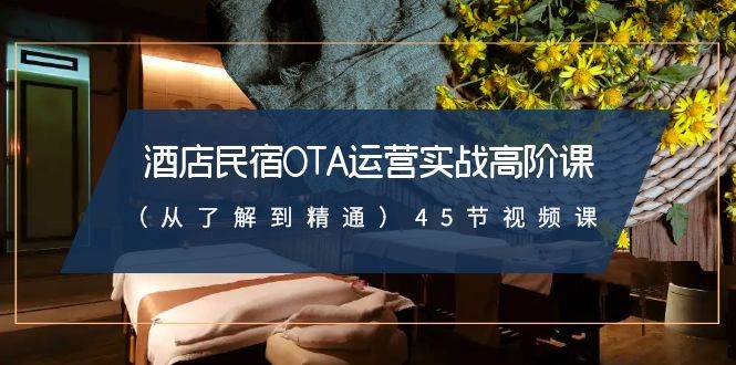 酒店民宿-OTA运营实战高阶课（从了解到精通）45节视频课-万利网