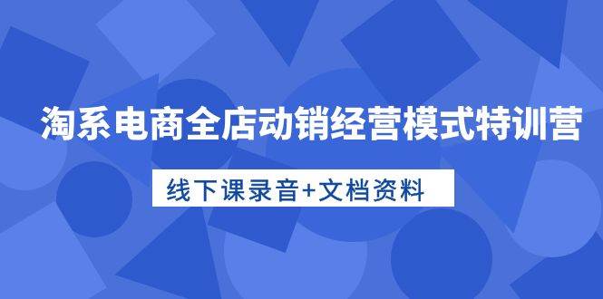 淘系电商全店动销经营模式特训营，线下课录音+文档资料-万利网