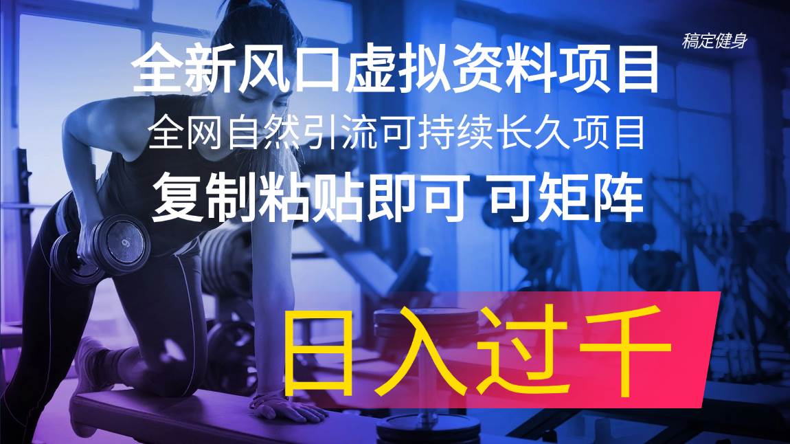 全新风口虚拟资料项目 全网自然引流可持续长久项目 复制粘贴即可可矩阵…-万利网