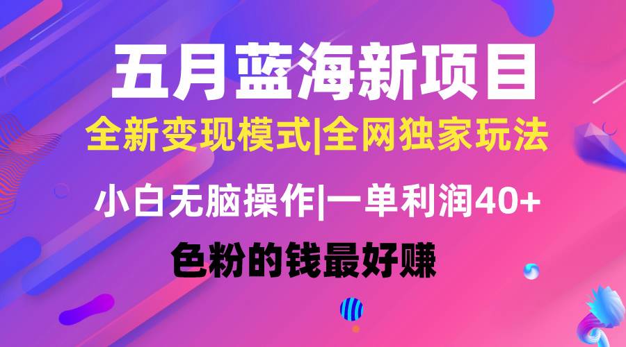五月蓝海项目全新玩法，小白无脑操作，一天几分钟，矩阵操作，月入4万+-万利网