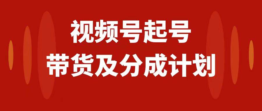 视频号快速起号，分成计划及带货，0-1起盘、运营、变现玩法，日入1000+-万利网