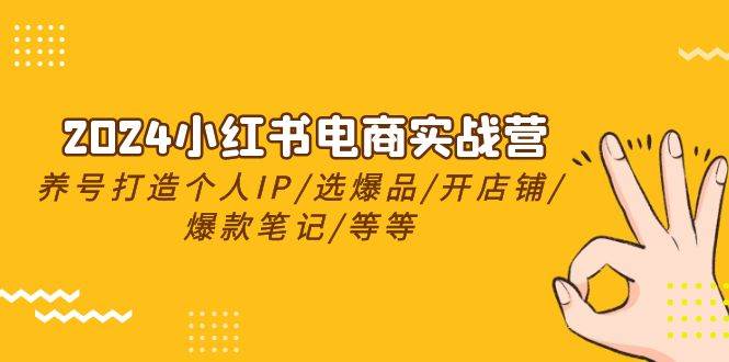 2024小红书电商实战营，养号打造IP/选爆品/开店铺/爆款笔记/等等（24节）-万利网