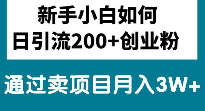 新手小白日引流200+创业粉,通过卖项目月入3W+-万利网