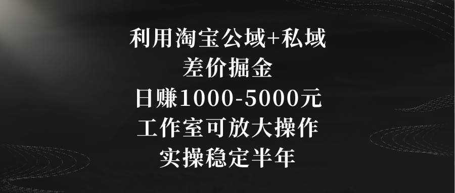 利用淘宝公域+私域差价掘金，日赚1000-5000元，工作室可放大操作，实操…-万利网