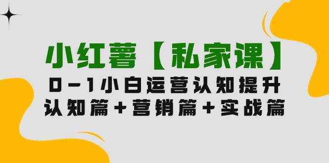 小红薯【私家课】0-1玩赚小红书内容营销，认知篇+营销篇+实战篇（11节课）-万利网