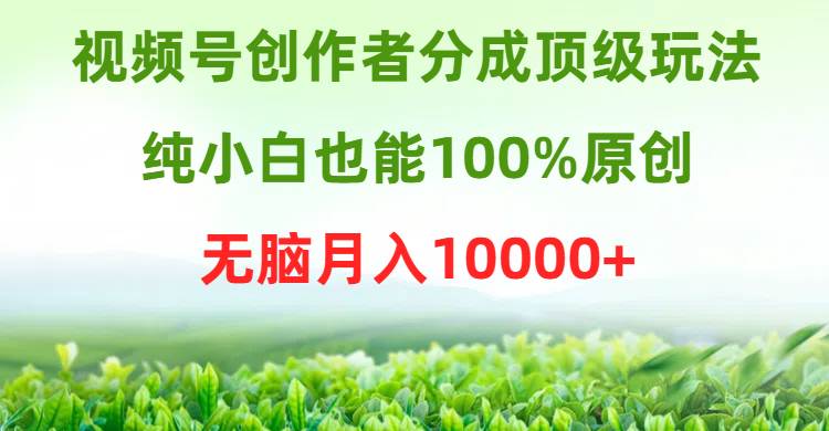 视频号创作者分成顶级玩法，纯小白也能100%原创，无脑月入10000+-万利网