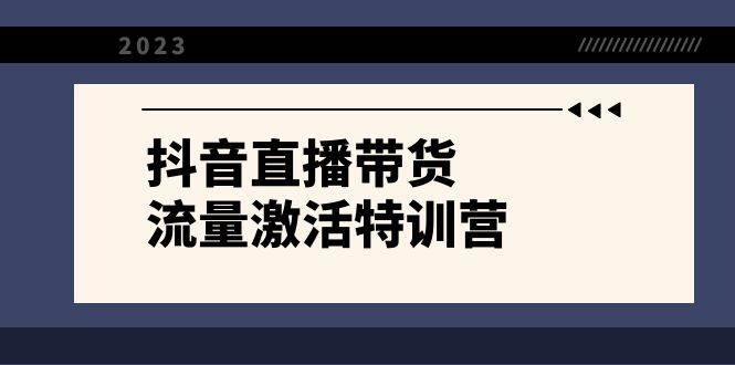 抖音直播带货-流量激活特训营，入行新手小白主播必学（21节课+资料）-万利网