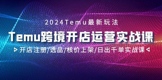2024Temu跨境开店运营实战课，开店注册/选品/核价上架/日出千单实战课-万利网