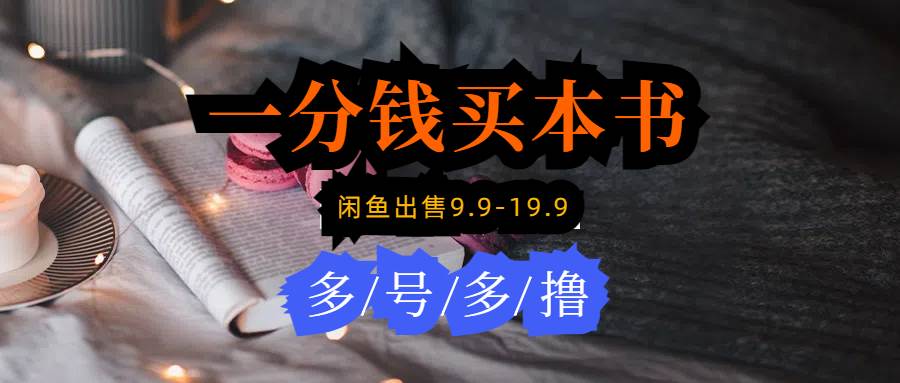 每天花1分钱买一本书，闲鱼出售9.9-19.9不等，多账号多撸 新手小白均可操作-万利网