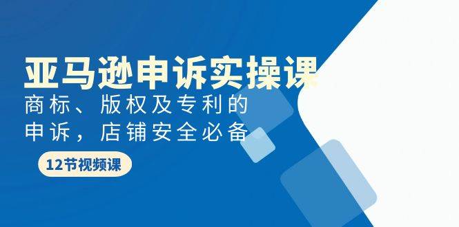 亚马逊-申诉实战课，商标、版权及专利的申诉，店铺安全必备-万利网