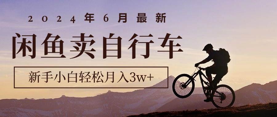 2024年6月最新闲鱼卖自行车，新手小白轻松月入3w+项目-万利网