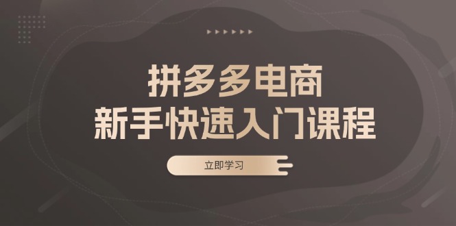 拼多多电商新手快速入门课程：涵盖基础、实战与选款，助力小白轻松上手-万利网