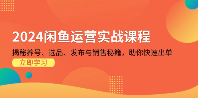 2024闲鱼运营实战课程：揭秘养号、选品、发布与销售秘籍，助你快速出单-万利网