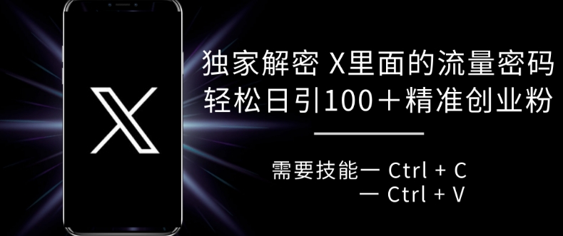 独家解密 X 里面的流量密码，复制粘贴轻松日引100+-万利网