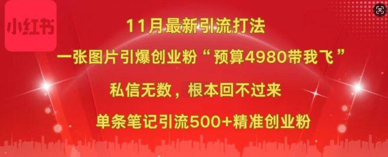 小红书11月最新图片打粉，一张图片引爆创业粉，“预算4980带我飞”，单条引流500+精准创业粉-万利网