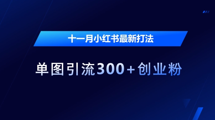 十一月小红书最新打法，单图引流300+创业粉-万利网