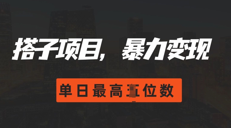 2024搭子玩法，0门槛，暴力变现，单日最高破四位数-万利网