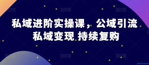 私域进阶实操课，公域引流 私域变现 持续复购-万利网